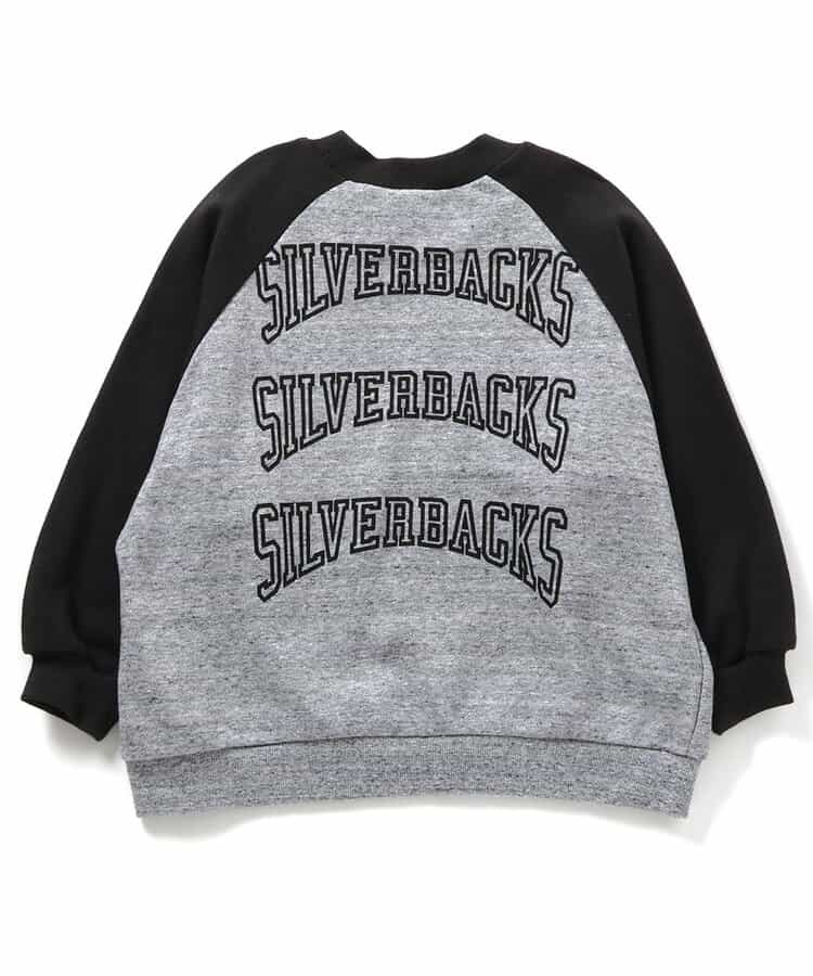 【リンク・セットアップ可】カレッジバリエーショントレーナー