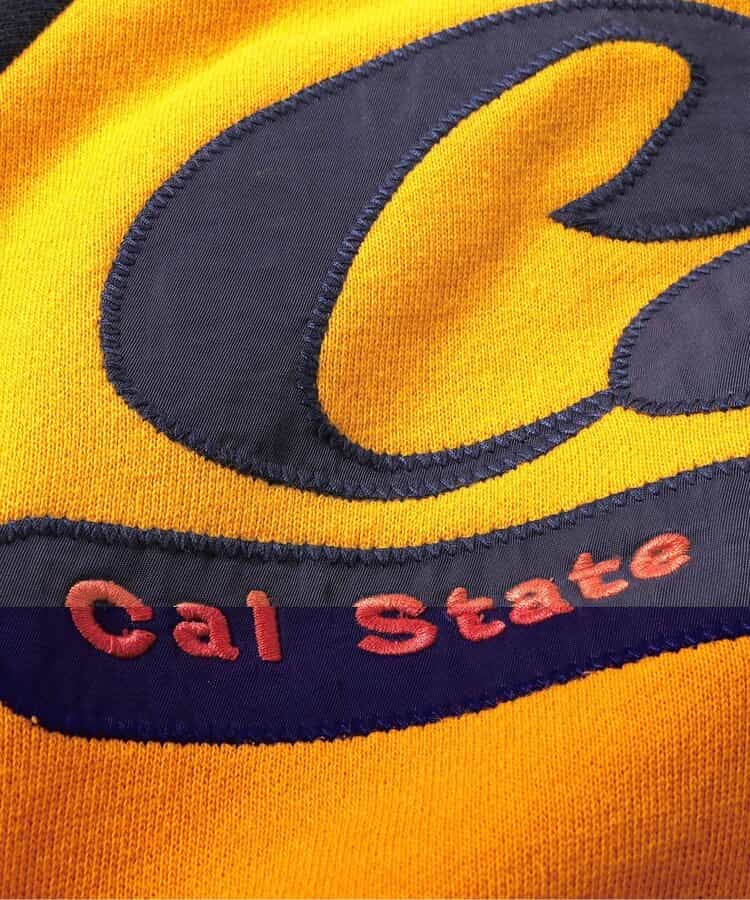 【リンク・セットアップ可】カレッジバリエーショントレーナー