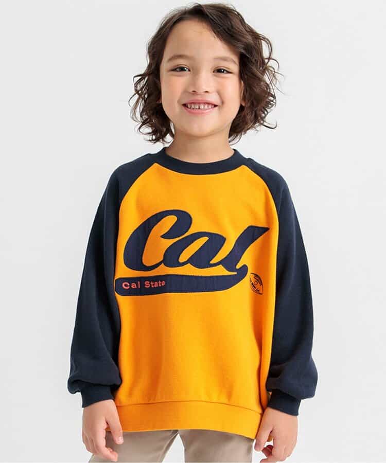 【リンク・セットアップ可】カレッジバリエーショントレーナー