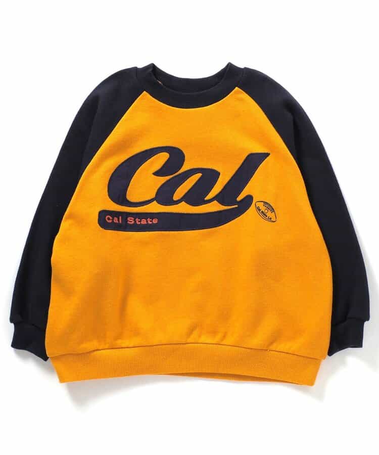 【リンク・セットアップ可】カレッジバリエーショントレーナー