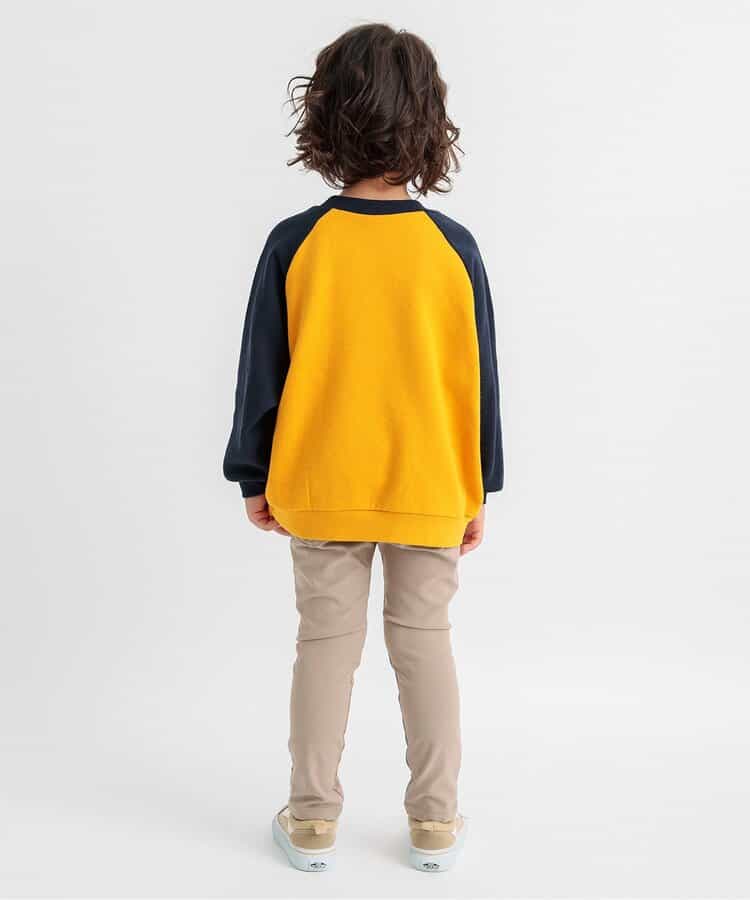 【リンク・セットアップ可】カレッジバリエーショントレーナー