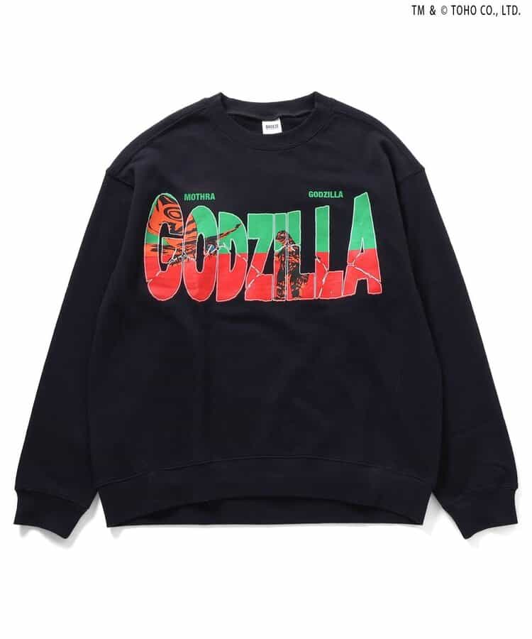 【ゴジラ】VSトレーナー（大人）