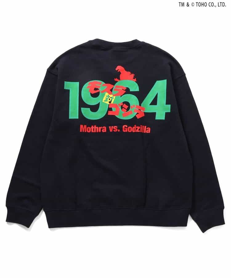 【ゴジラ】VSトレーナー（大人）