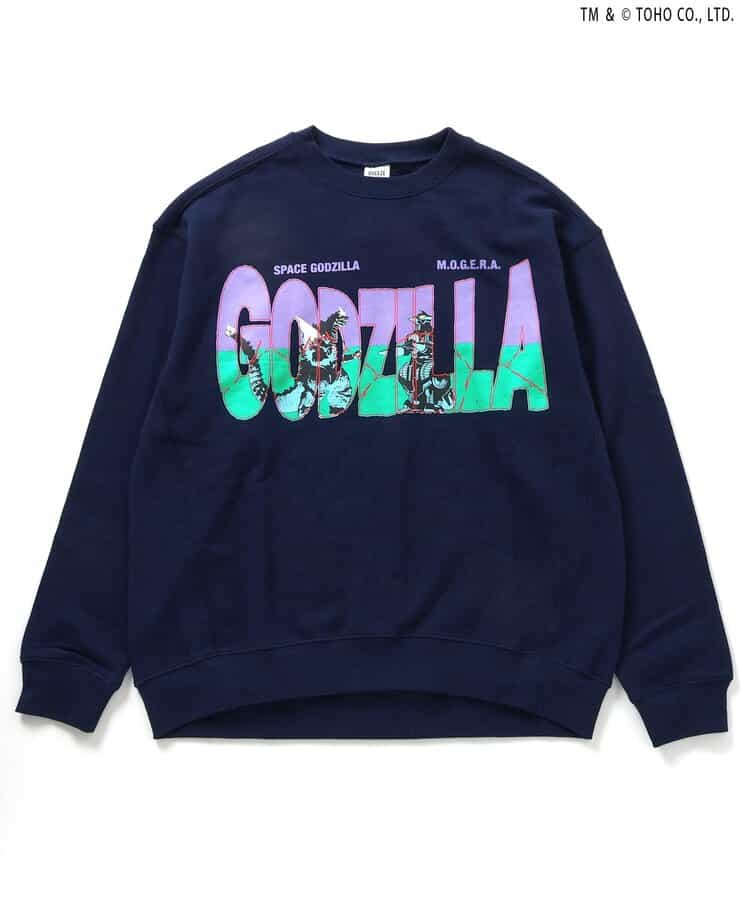 【ゴジラ】VSトレーナー（大人）