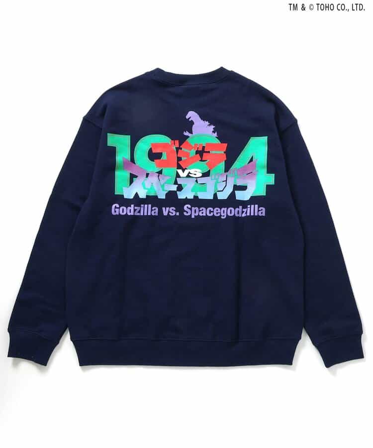 【ゴジラ】VSトレーナー（大人）