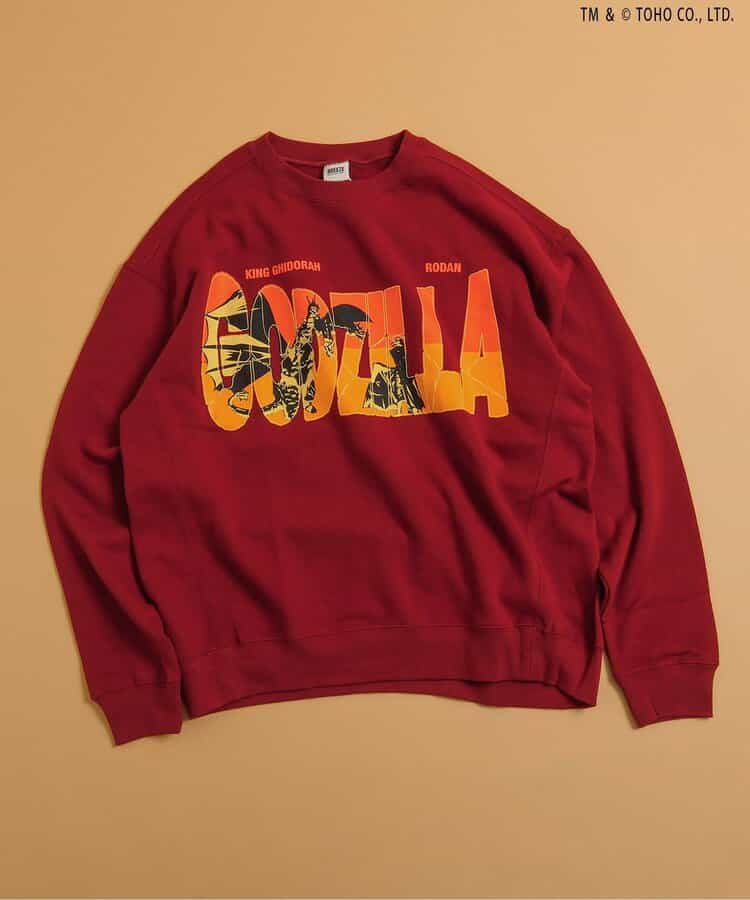 【ゴジラ】VSトレーナー（大人）