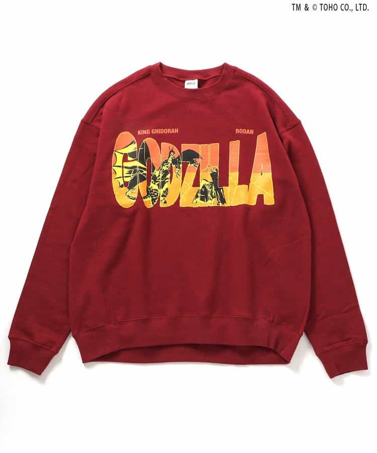 【ゴジラ】VSトレーナー（大人）