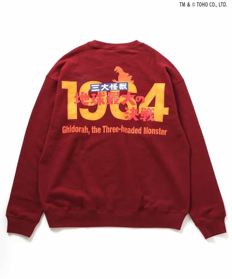 【ゴジラ】VSトレーナー（大人）