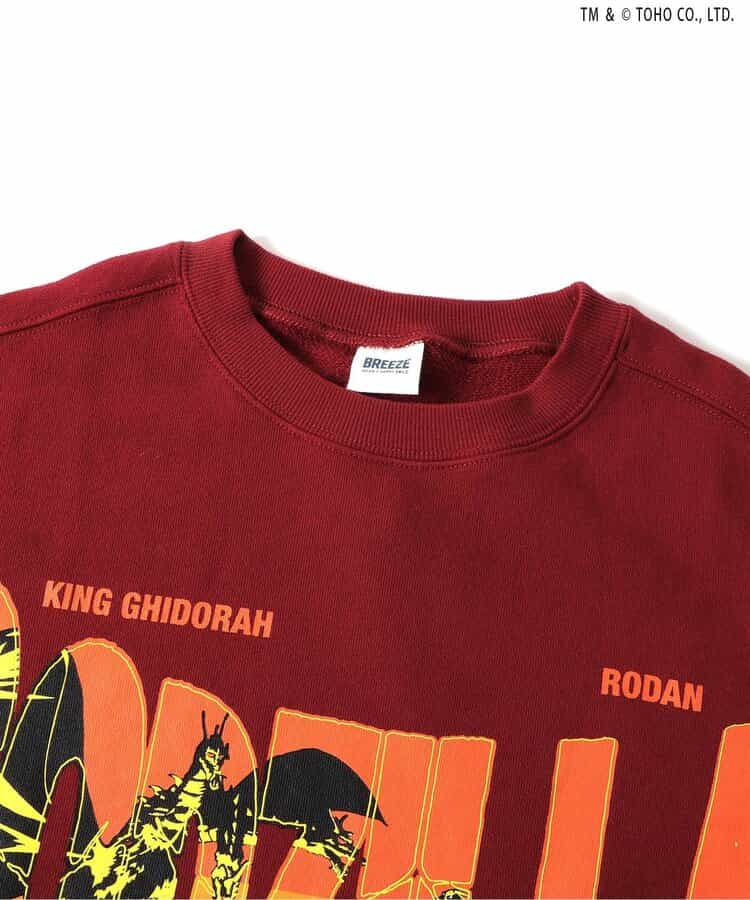 【ゴジラ】VSトレーナー（大人）