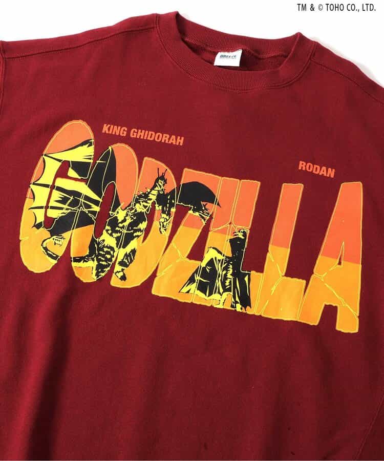 【ゴジラ】VSトレーナー（大人）