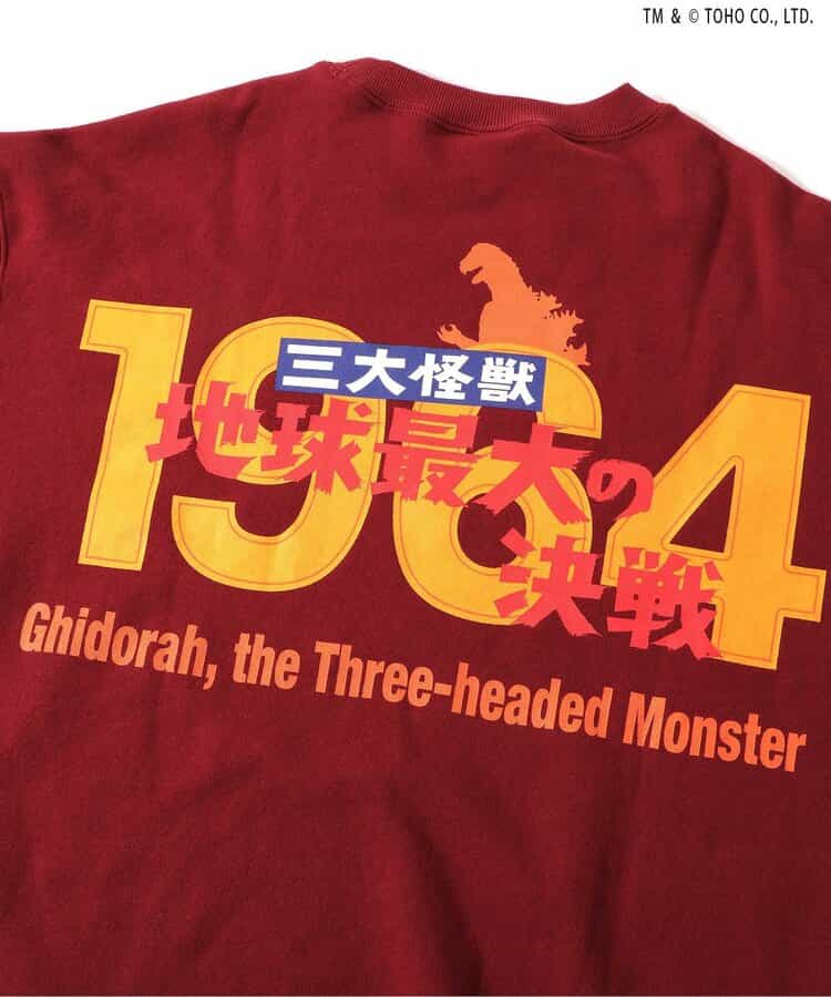 【ゴジラ】VSトレーナー（大人）