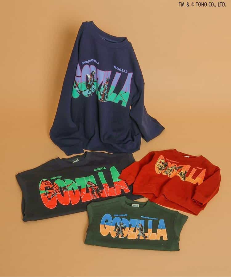 【ゴジラ】VSトレーナー（大人）