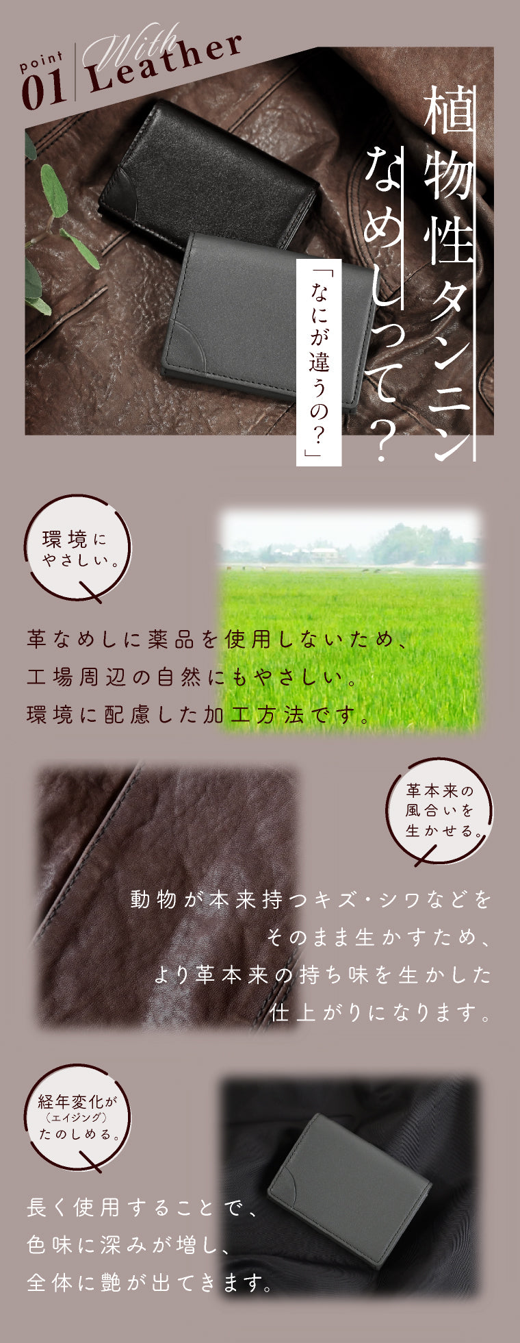 エクレボ exrevo 名刺入れ 大容量 本革 牛革 レディース おしゃれ ベジタブルタンニンレザー メンズ 薄型 カードケース 名刺ケース 就職祝い レザー 無地 ブランド プレゼント ギフト Legamora 公式 （グレージュ） グレージュ