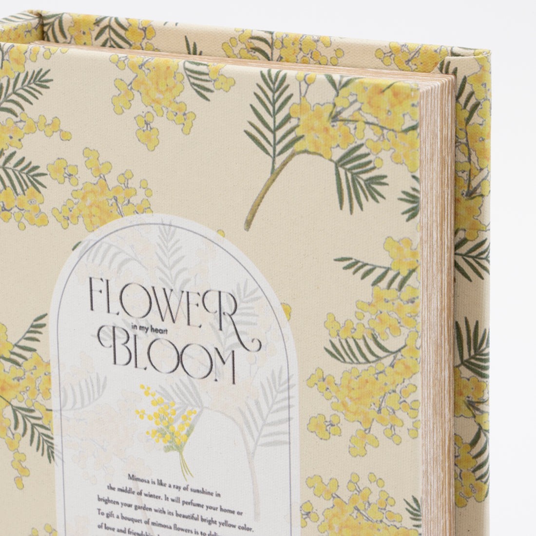 KANKAN Book Box L