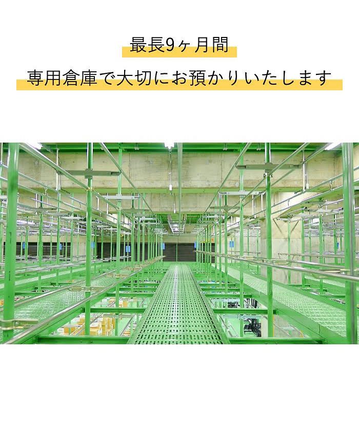カジクラウド 家事玄人 保管付 布団クリーニング壓縮送達