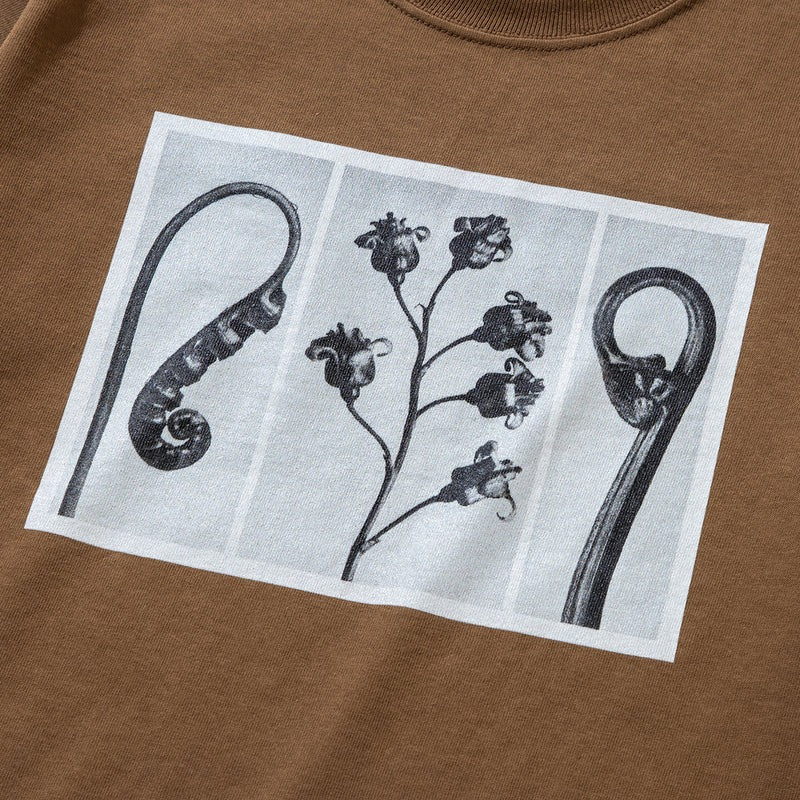 キネティクス Kinetics フラワー Tシャツ（FLOWER T-SHIRT） （BROWN） BROWN
