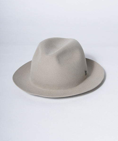 地球 arth arth 可崩潰的 Fedora