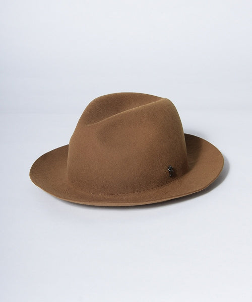 地球 arth arth 可崩潰的 Fedora