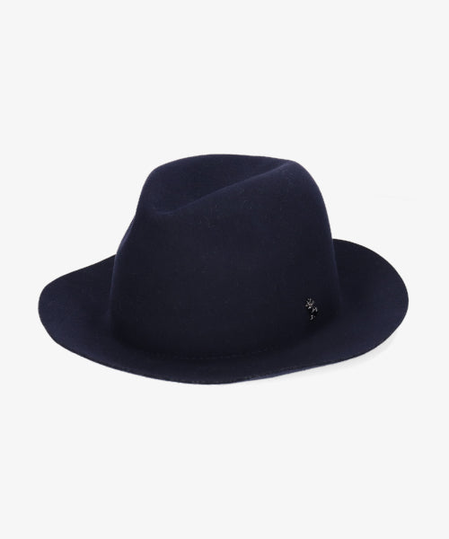 地球 arth arth 可崩潰的 Fedora