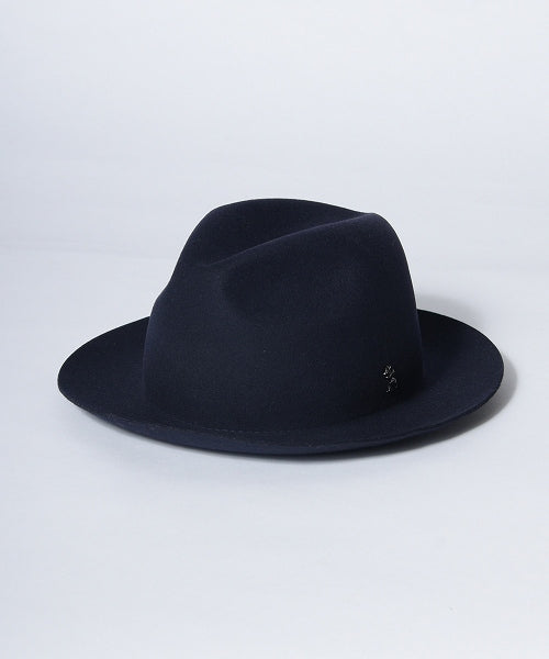 地球 arth arth 可崩潰的 Fedora