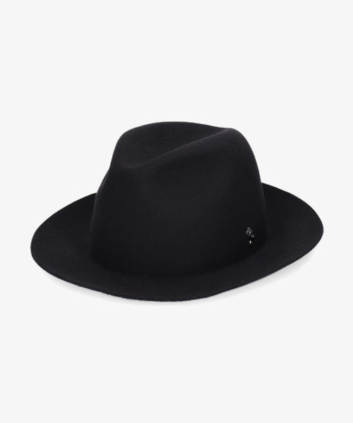 地球 arth arth 可崩潰的 Fedora