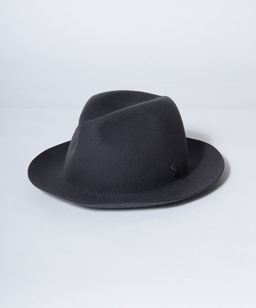 地球 arth arth 可崩潰的 Fedora