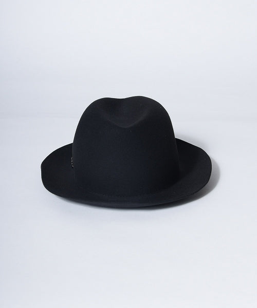 地球 arth arth 可崩潰的 Fedora