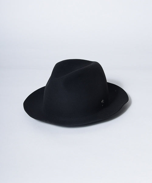 地球 arth arth 可崩潰的 Fedora