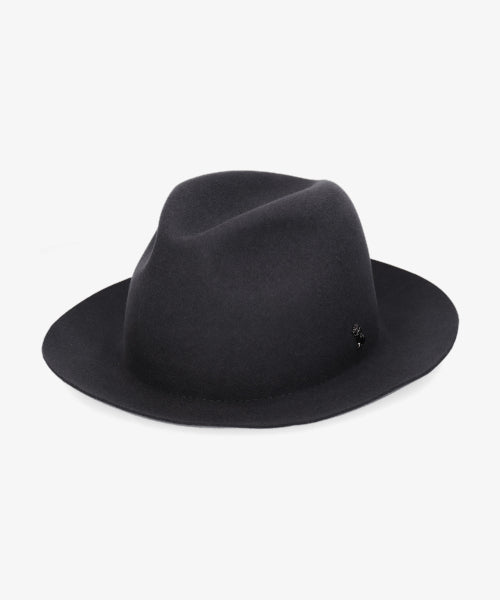 地球 arth arth 可崩潰的 Fedora