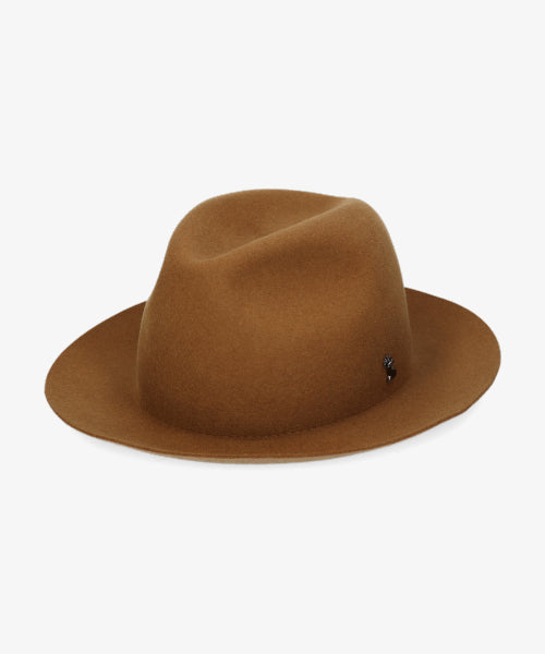 地球 arth arth 可崩潰的 Fedora