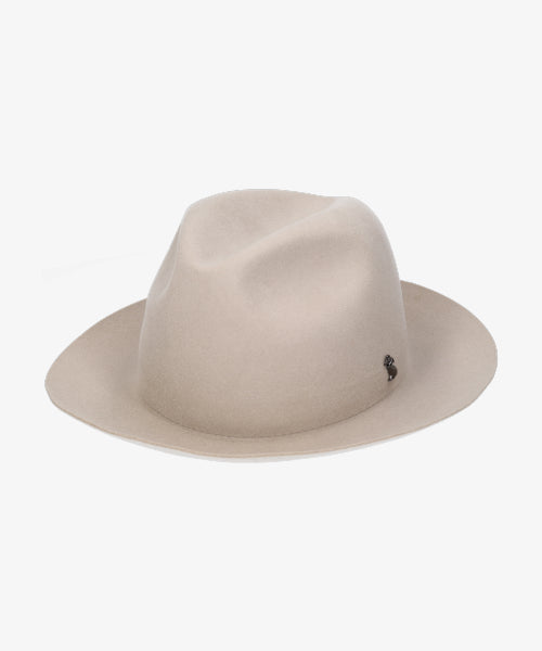 地球 arth arth 可崩潰的 Fedora