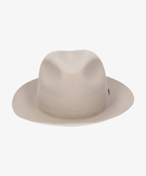 地球 arth arth 可崩潰的 Fedora
