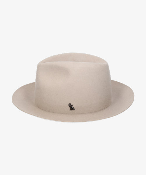 地球 arth arth 可崩潰的 Fedora