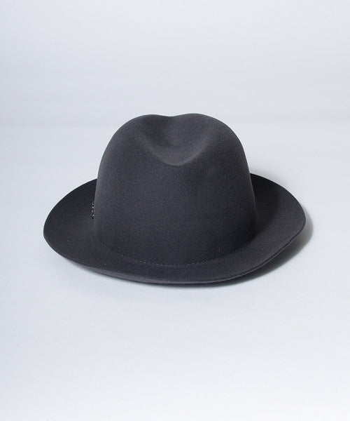 地球 arth arth 可崩潰的 Fedora