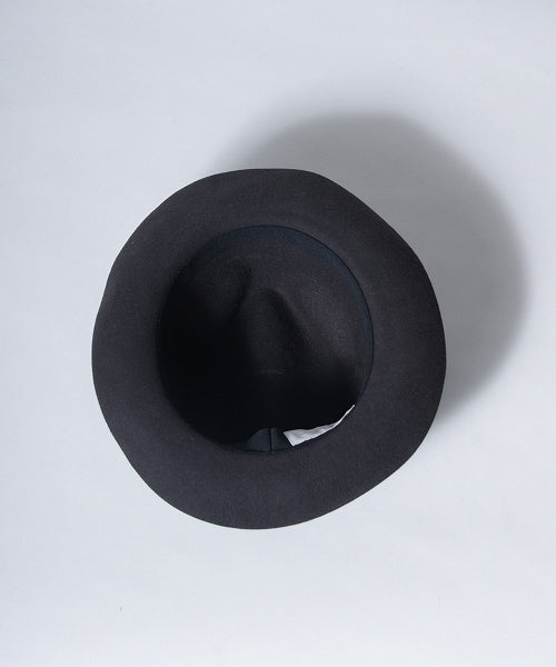 地球 arth arth 可崩潰的 Fedora