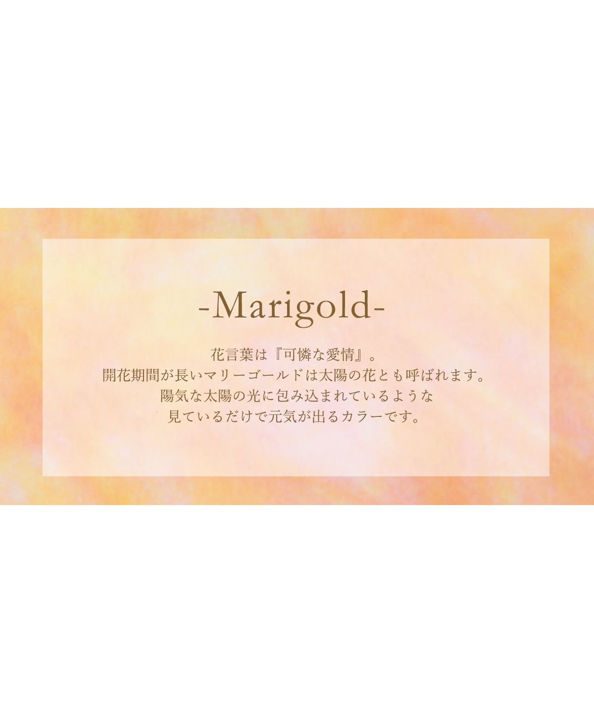 クレリアユー Clelia-u- Cleliaーuー クレリアユー キーケース レディース 本革 エナメル アートレザー カードポケット 小銭入れ 日本製 Bouquetシリーズ CLUー806 （プラム） プラム