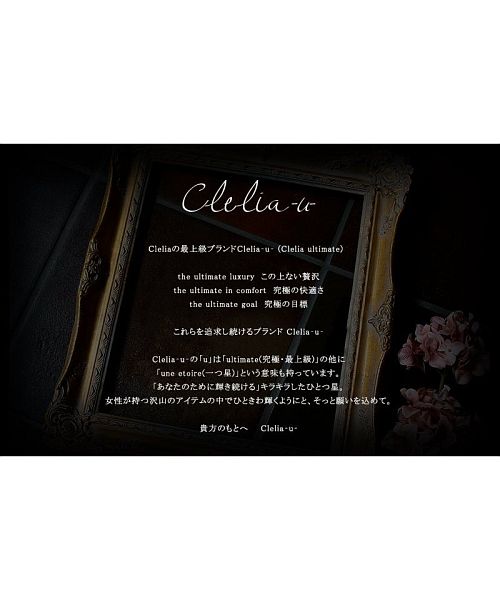 クレリアユー Clelia-u- パスケース レディース 本革 ICカード対応 ステンドグラス調 エナメル ストラップ付き 定期入れ 日本製 Cleliaーuー