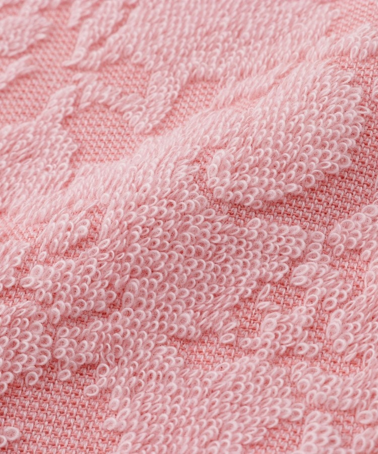 ローラ アシュレイ LAURA ASHLEY ローザリンド柄 刺繍タオルハンカチ （ホワイト(101)） ホワイト(101)