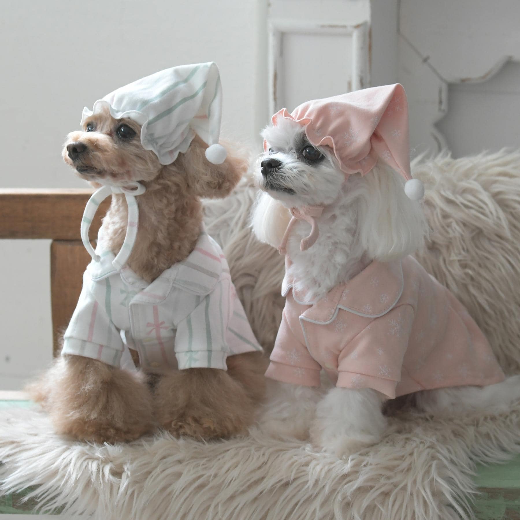 ローラ アシュレイ LAURA ASHLEY ペインタリー ボウ ストライプ柄 ドッグウエア 【返品不可商品】 （ホワイト(102)） ホワイト(102)