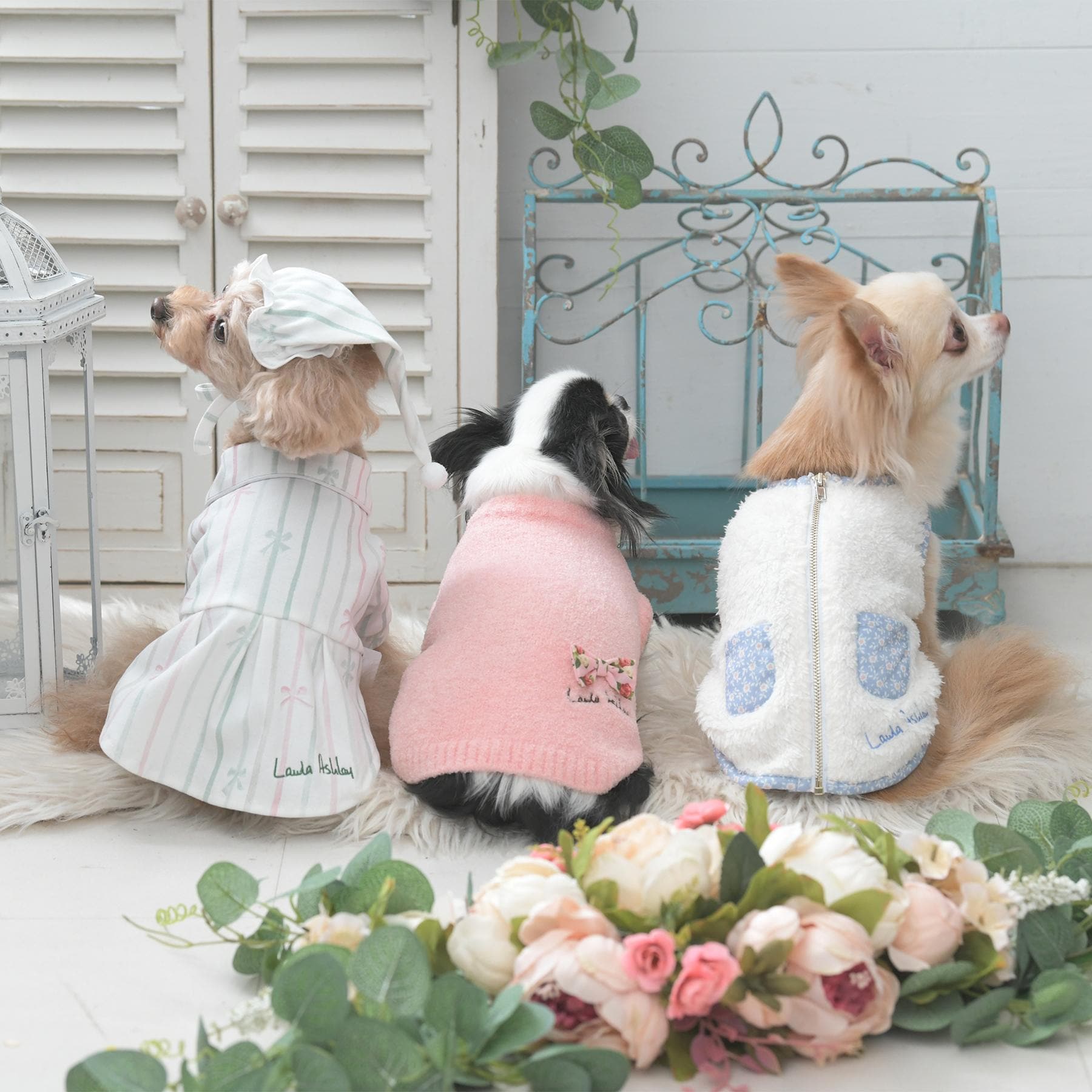 ローラ アシュレイ LAURA ASHLEY ペインタリー ボウ ストライプ柄 ドッグウエア 【返品不可商品】 （ホワイト(102)） ホワイト(102)