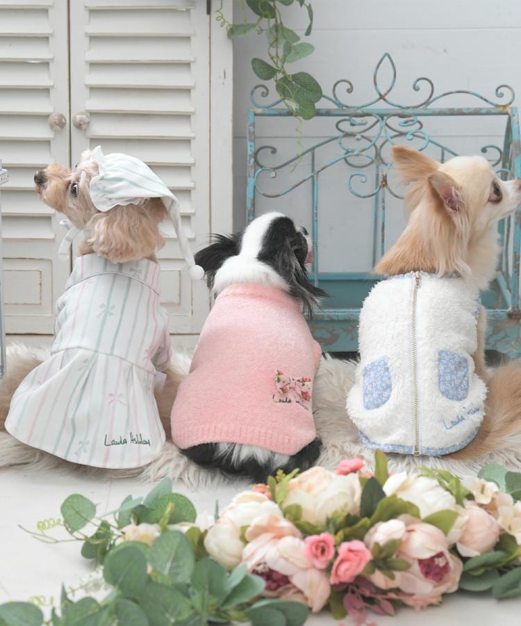 ローラ アシュレイ LAURA ASHLEY ペインタリー ボウ ストライプ柄 ドッグウエア【返品不可商品】 （ホワイト(102)） ホワイト(102)