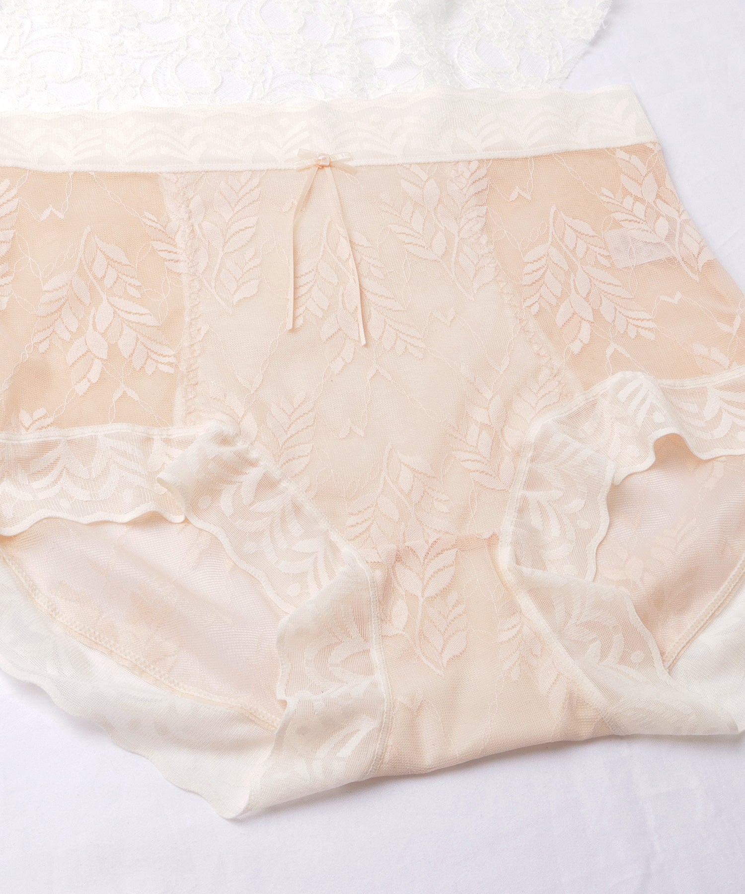 レースレディース Lace Ladies 【6枚セット】ハイウエストボタニカルレース補正ショーツ【返品不可商品】 （6枚セット） 6枚セット