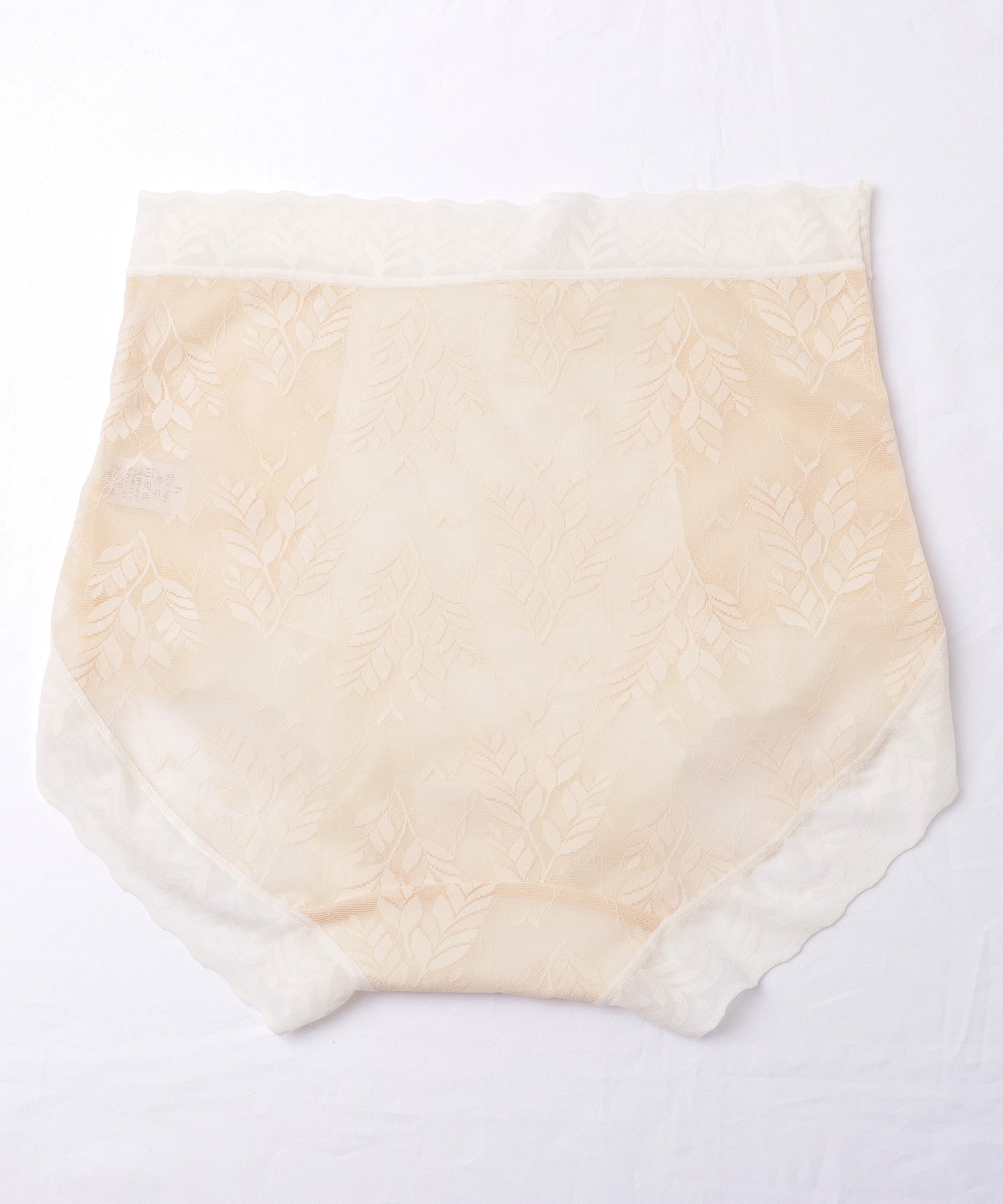 レースレディース Lace Ladies 【6枚セット】ハイウエストボタニカルレース補正ショーツ【返品不可商品】 （6枚セット） 6枚セット