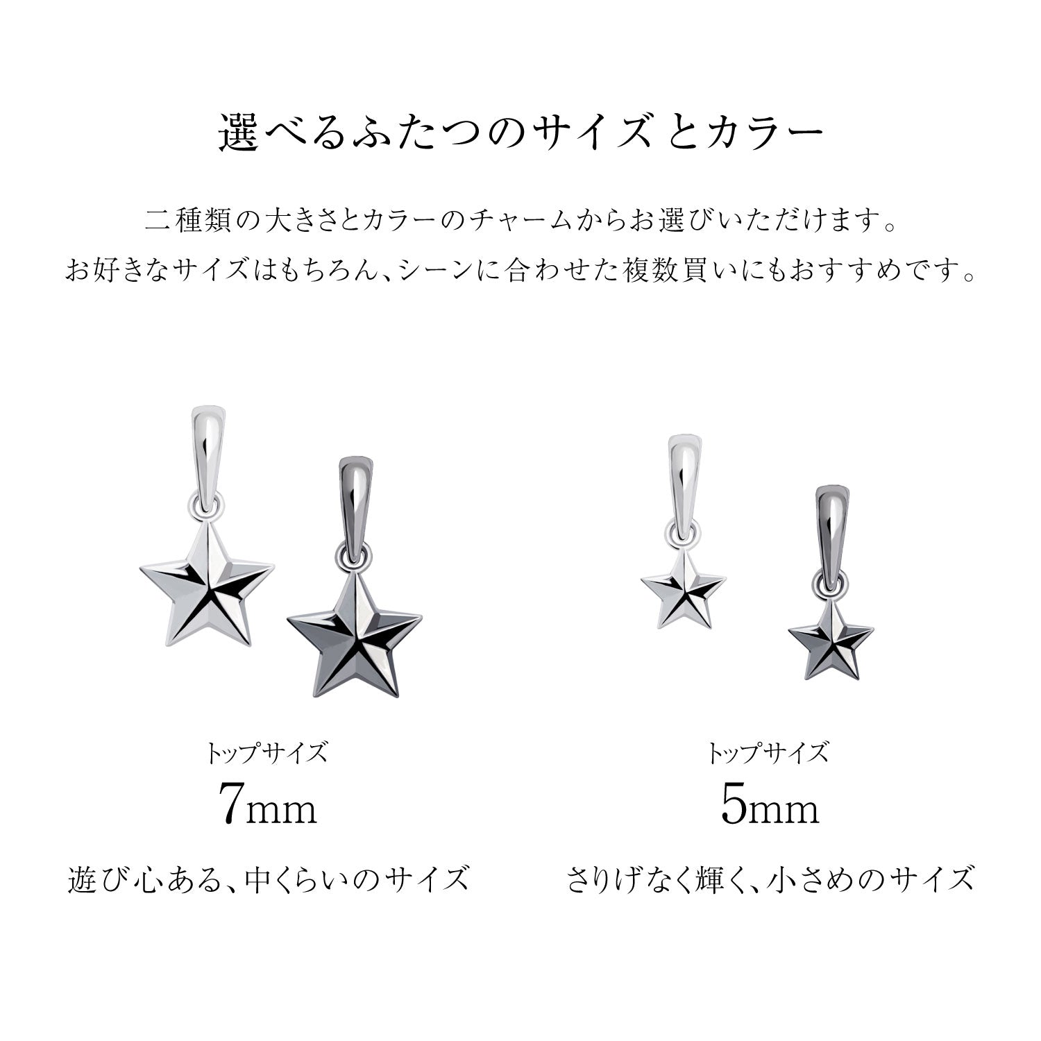 ララクリスティー LARA Christie チャーム ペンダントトップ ステラ 星 スター レディース メンズ sv925 シルバー ネックレス （シルバー/ブラック） シルバー/ブラック