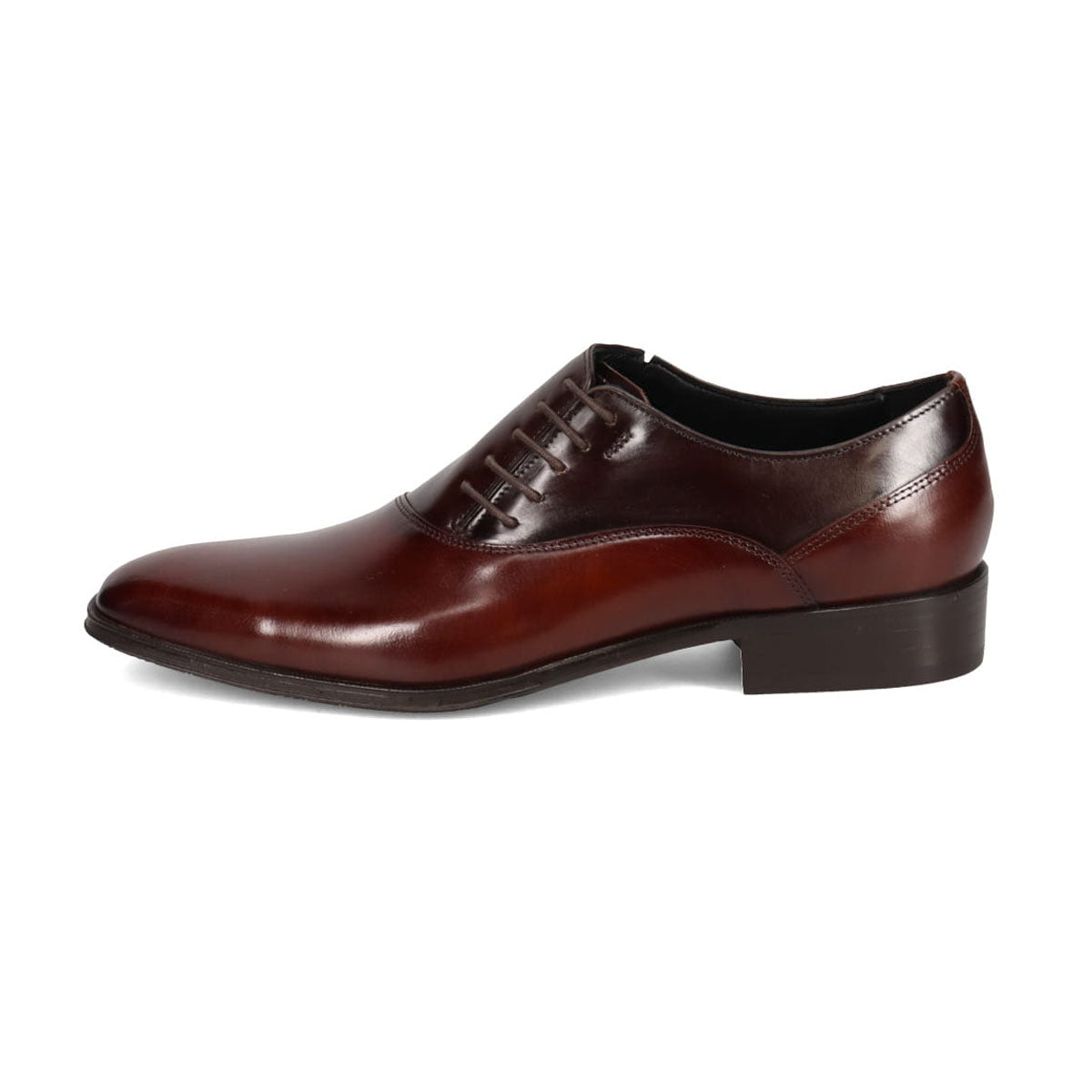 LANVIN COLLECTION Color Block Formal Side Lace Dress Shoes 83444