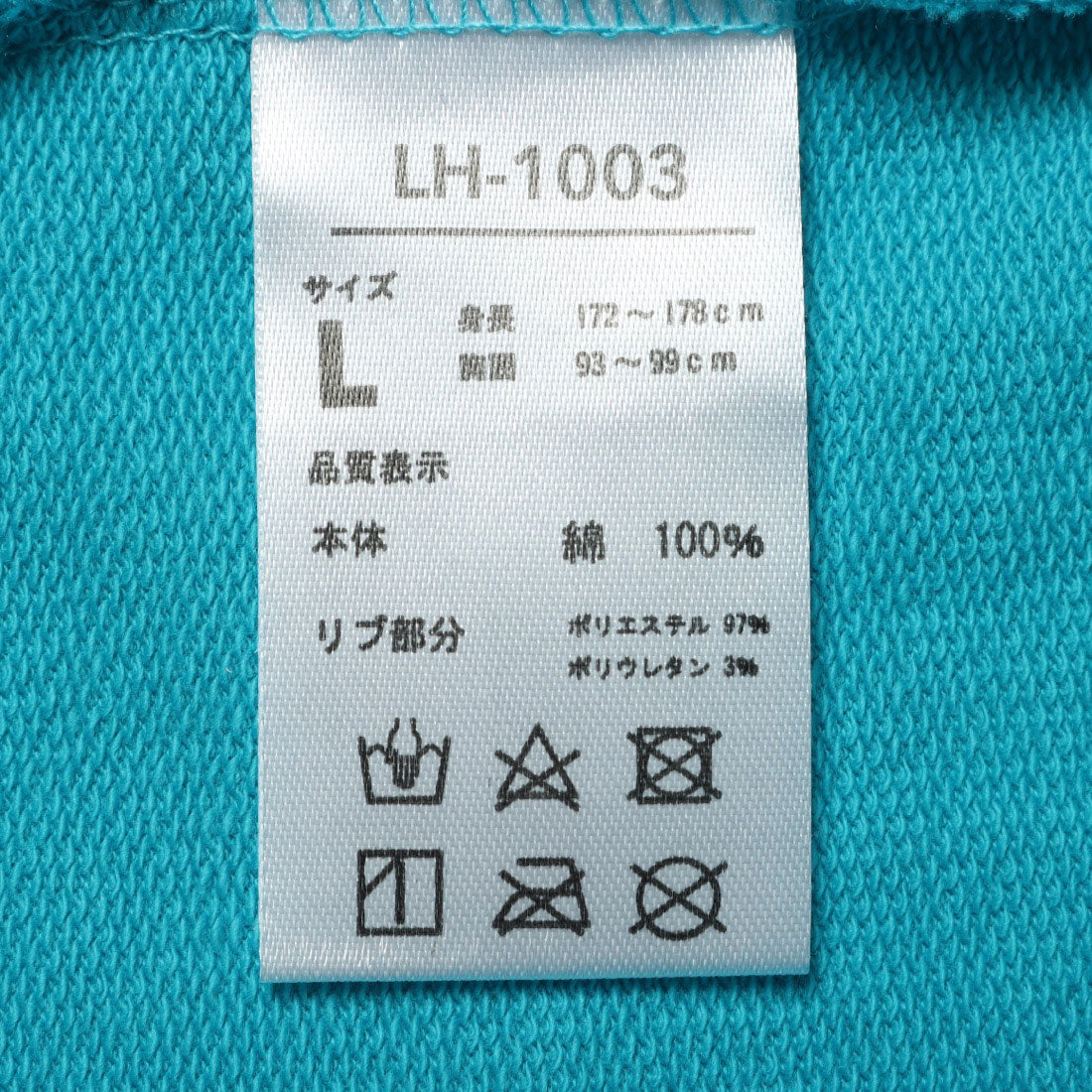 レイトンハウス LEYTON HOUSE LEYTON HOUSE レイトンハウス アニバーサリーモデル メンズ 半袖 Tシャツ バックプリント （レイトンブルー） レイトンブルー