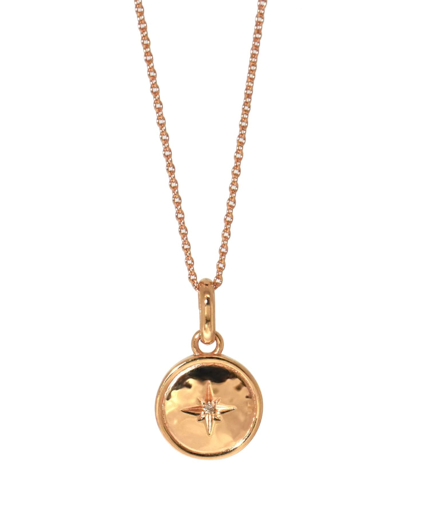 ライオンハート LION HEART 【限定展開】“LH-1”ツチメコインペアネックレス/ダイヤモンド/サージカルステンレス（金属アレルギー対応） （シルバー&ピンク） シルバー