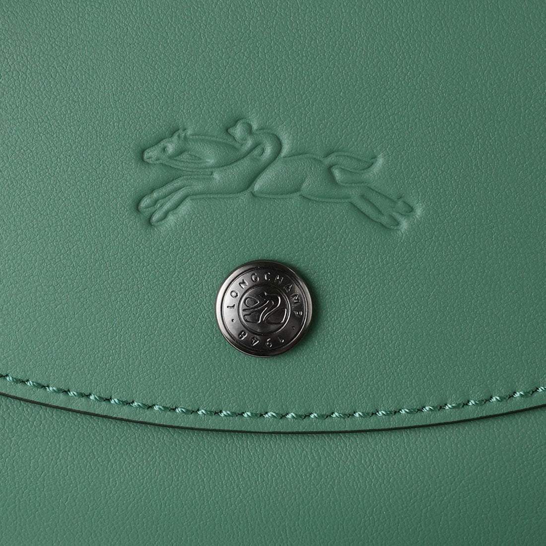 LONGCHAMP Le Pliage Extra Shopping Bag Size M 2605 987 D90 SAGE