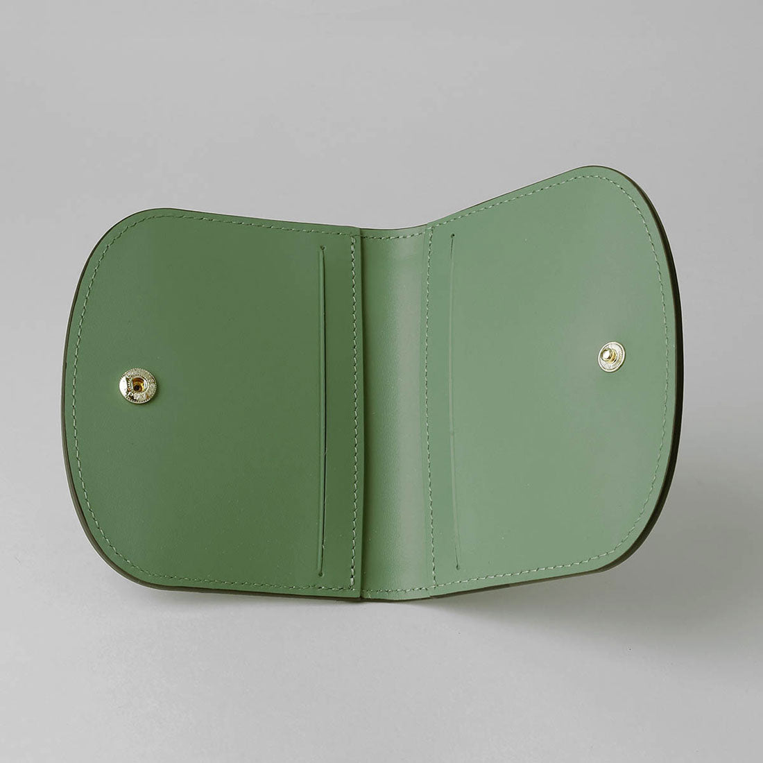 ロンシャン LONGCHAMP カードケース エピュレ カードホルダー 30047 HFY M16 OREGANO （オレガノ） オレガノ