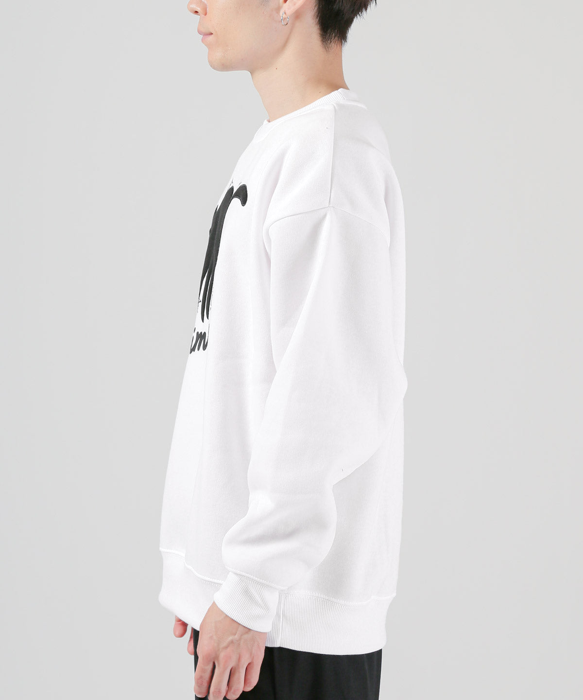 ラグスタイル LUXSTYLE 黒猫アップリケ裏起毛スウェット/暖か 裏起毛 オーバーサイズ ゆったり ネコ 猫 アップリケ ロゴ プリント キャラクター 防寒 丸首 （グレー） グレー